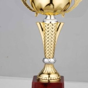 FB2054-C Budget Trophy C 28Cm